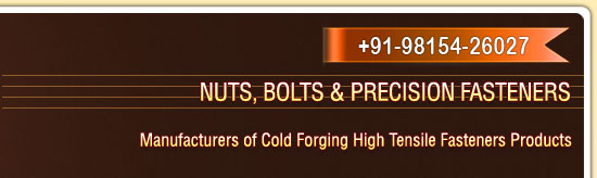 Nuts Bolts fasteners Manufacturers in punjab India Ludhiana