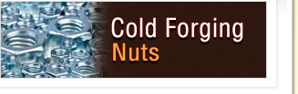 Cold Forgings Nuts