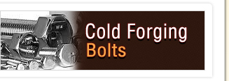 Cold Forgings Bolts